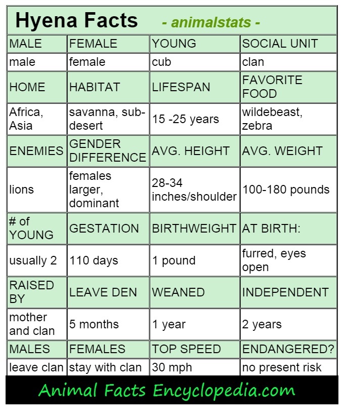 Zebra Classification Chart