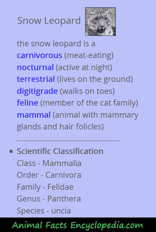 giraffe animal stats