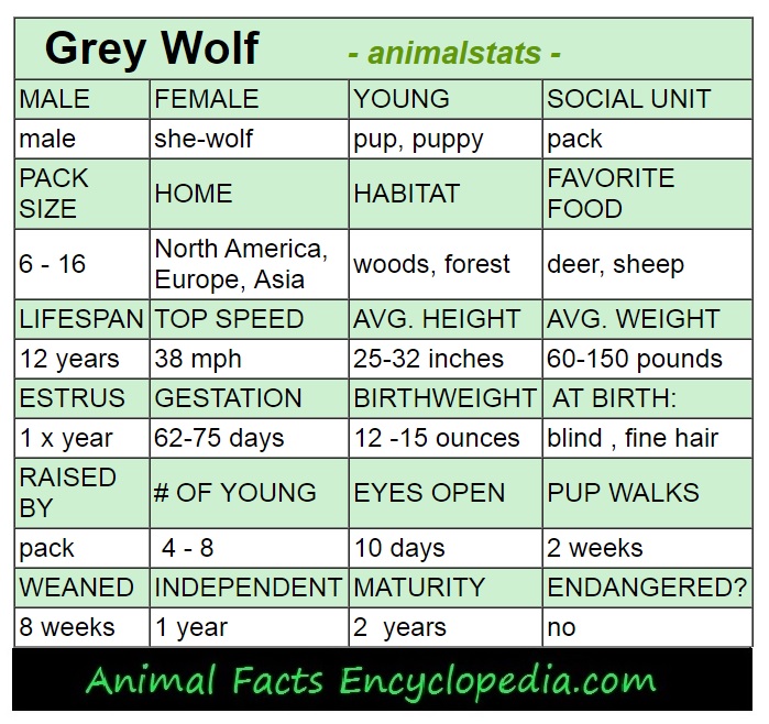 wolf animal stats