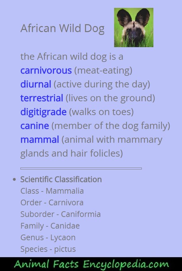 African wild dog science