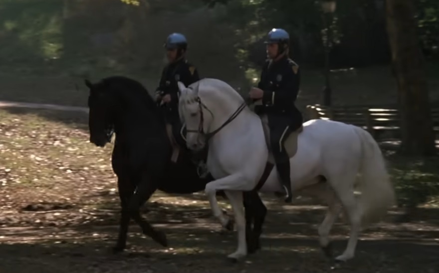 Andalusians- Hair the movie Andalusians- Hair the movie