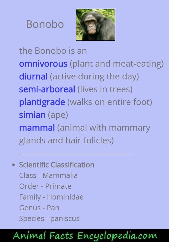 bonobo science