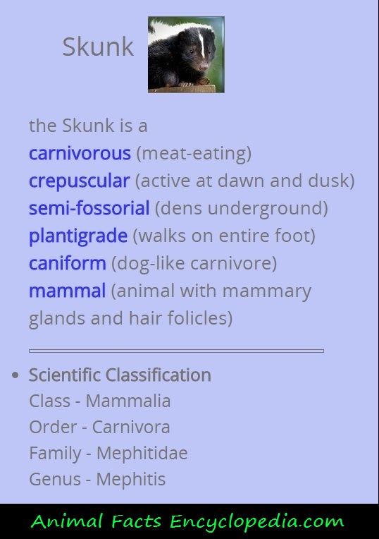 skunk science