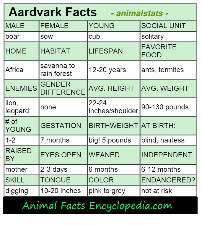 aardvark fact sheet