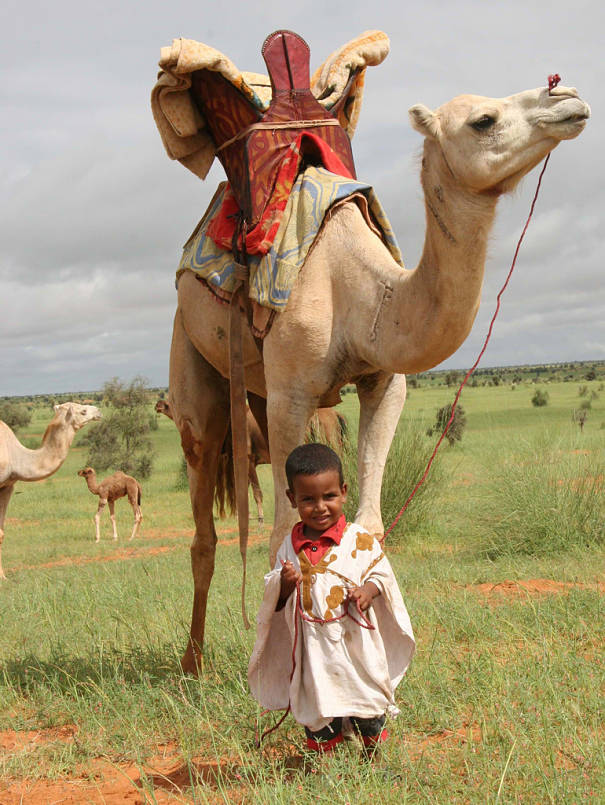 camel with little boy