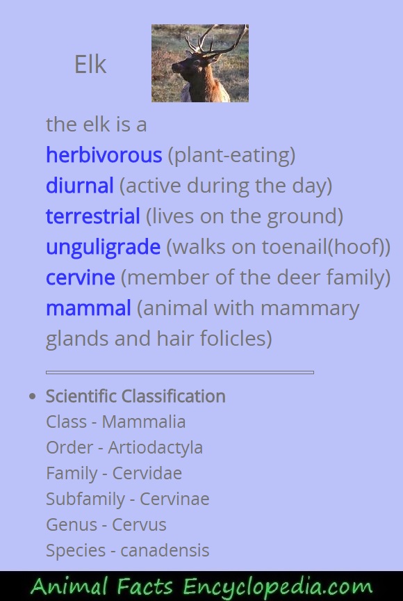 elk science