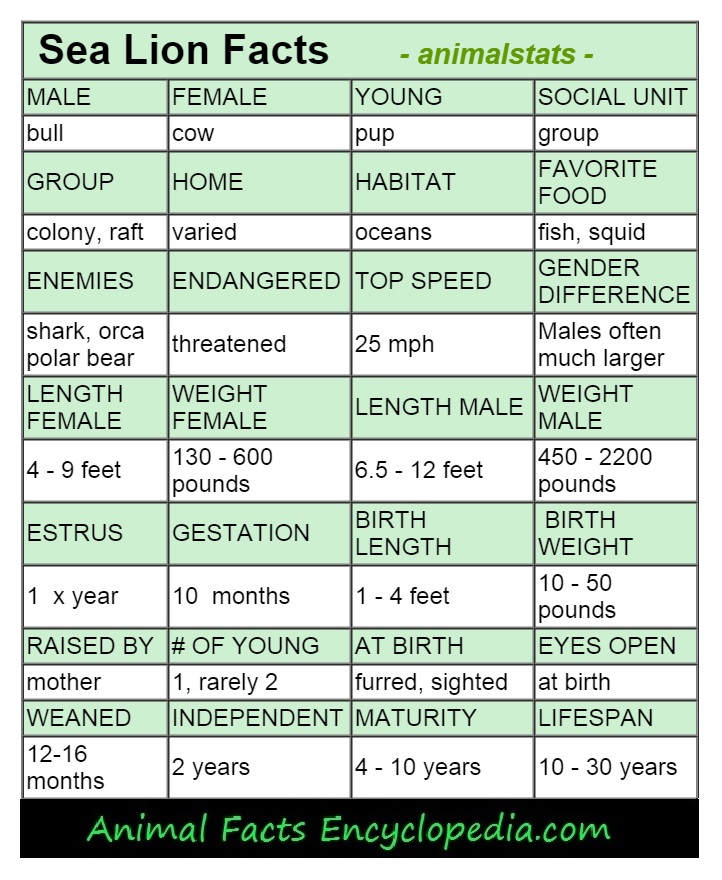 baboon animal stats