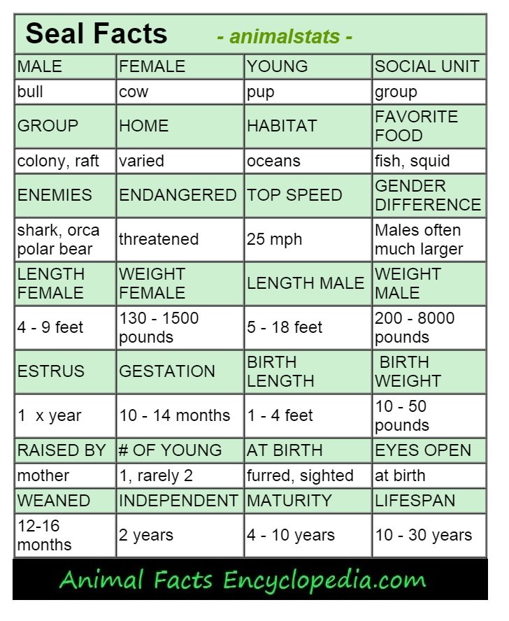 baboon animal stats