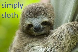 sloth facts