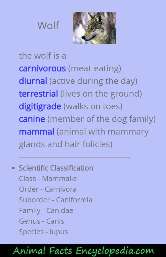 wolf scientific info